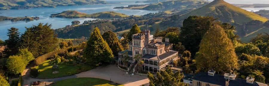 Private Dunedin City Highlights and Otago Peninsula Day Tour - Transport, timing, and cruise-port planning