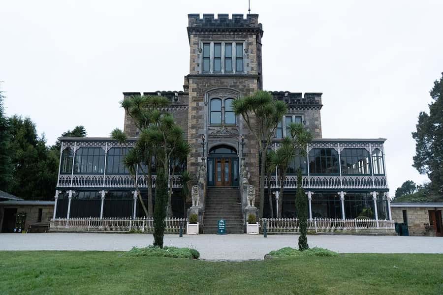 Private Dunedin City Highlights and Otago Peninsula Day Tour - What the guide adds, and where the tour may fall short