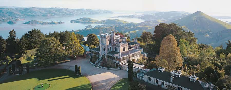 Private Dunedin City Highlights and Otago Peninsula Day Tour - Starting above the city at Signal Hill