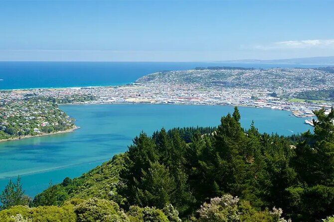 Private Dunedin & Otago Peninsula Day Tour Up to 4 - Signal Hill gives you your first Dunedin view