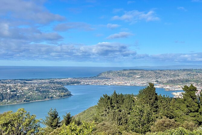 Private Dunedin & Otago Peninsula Day Tour Up to 4 - Otago University adds a touch of city character