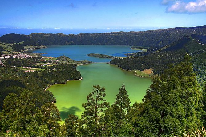 Private Full-Day Rotorua Tour from Auckland - Why this Auckland to Rotorua trip works
