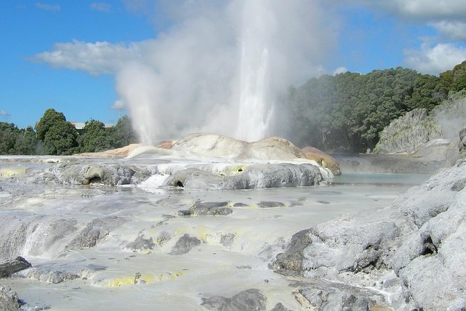 Private Full-Day Rotorua Tour from Auckland - The Kiwi House and Pikirangi Māori Village