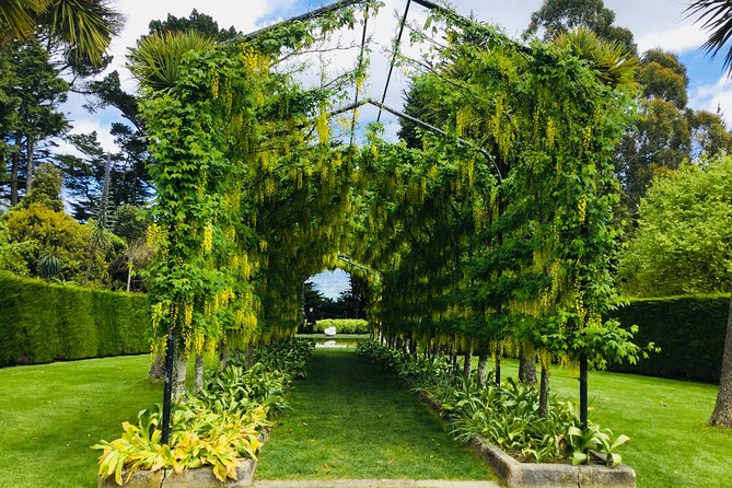 Private Guided Tour of Dunedin City Heritage and Unique Wildlife and Scenery - Penguin Place and the Otago Peninsula roads