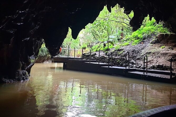 Private Hobbiton & Blue Springs Day Trip from Auckland - Who should book this day trip