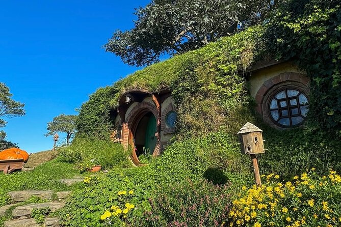 Private Hobbiton Movie Set and Rotorua Day Trip from Auckland - Lady Knox Geyser at 10:15 in the morning