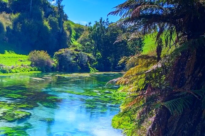 Private Hobbiton, Waitomo Caves, Blue Spring & Hamilton Transfer - Waitomo Glowworm Caves below ground