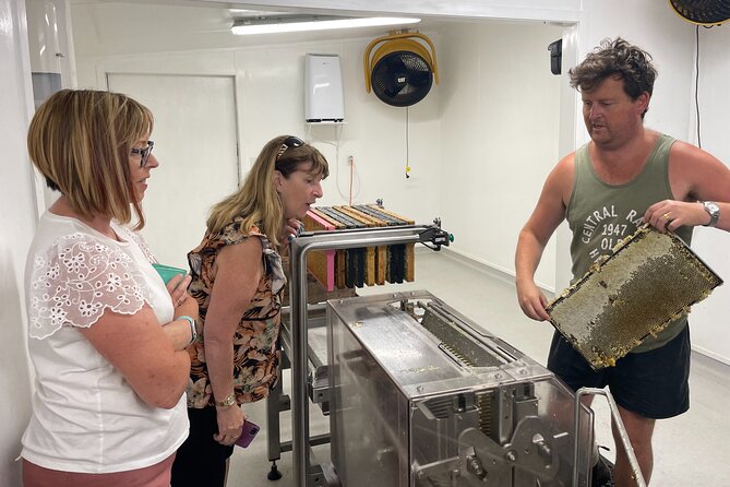 Private Martinborough Foodie Delights Tour from Wellington - Why this private Martinborough day works