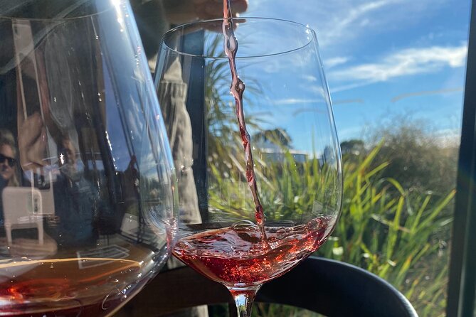 Private Martinborough Wine Tour for Wine Enthusiasts - Key points for serious wine drinkers