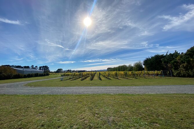 Private Martinborough Wine Tour for Wine Enthusiasts - Ata Rangi: history, flagships, and a walk among the vines