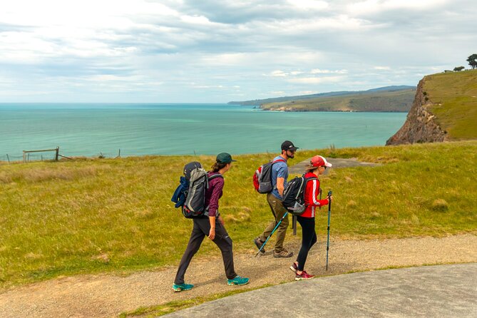 Private Mt Cook Day Tour From Christchurch via Lake Tekapo - Lake Pukaki and the approach to Aoraki