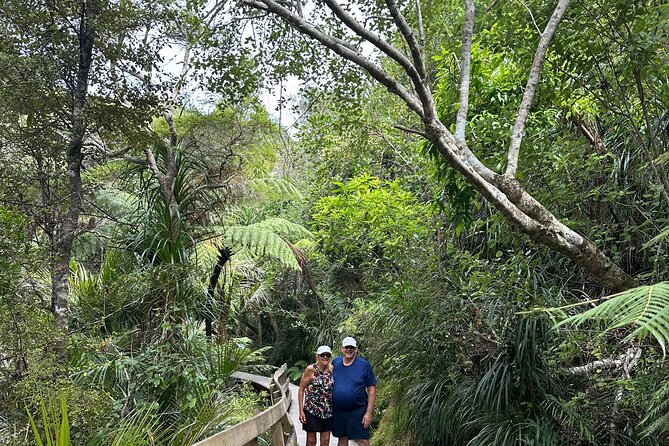 Private Piha Beach, Rainforest Adventure & Mt. Eden with Guide - Piha Beach delivers the day’s most dramatic setting