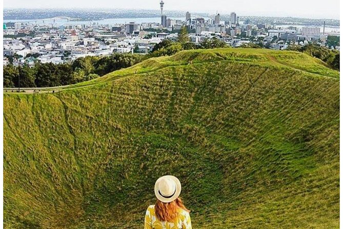 Private Piha Beach, Rainforest Adventure & Mt. Eden with Guide - Guides and the value of a private vehicle