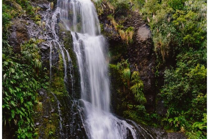 Private Piha Beach, Rainforest Adventure & Mt. Eden with Guide - Arataki Visitor Centre gives you the big picture