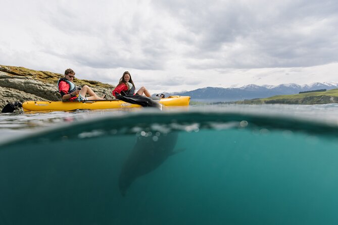 Private Seal Kayaking and Wildlife Tour in Kaikoura - Why kayaking from the sea changes Kaikoura