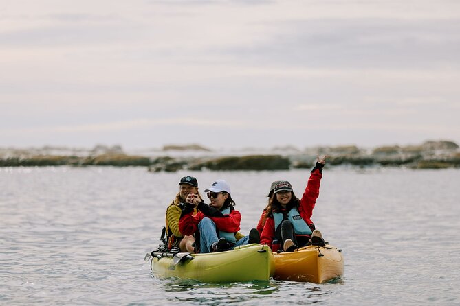 Private Seal Kayaking and Wildlife Tour in Kaikoura - Is $83.78 per person good value?