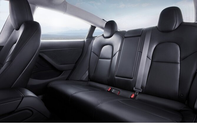 Private Tesla Transfer: Auckland, Tauranga, Rotorua, Taupo - A direct ride from Auckland in a Tesla Model 3