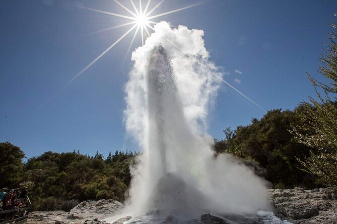Private Tour [2 Days]: Auckland to Waitomo Caves, Rotorua, Te Puia & Wai-O-Tapu - The long return to Auckland