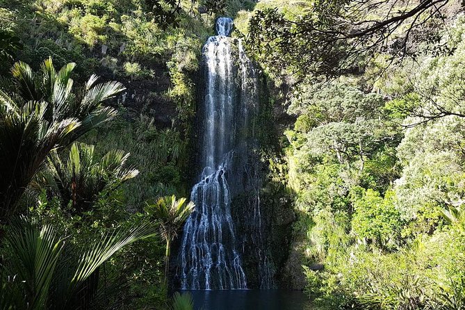 Private Tour: Auckland City and Countryside Tour - Mt Eden, the essential Auckland viewpoint