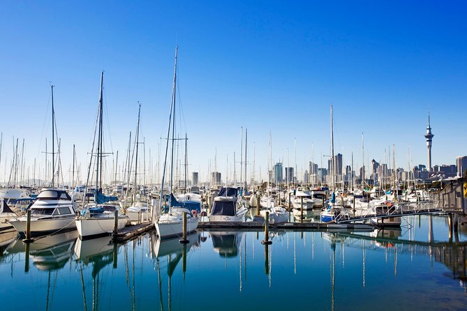 Private Tour: Auckland City and Countryside Tour - Mission Bay, beaches, and the changing route