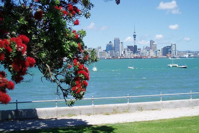 Private Tour: Auckland City and Countryside Tour - Timing, weather, and comfort tips