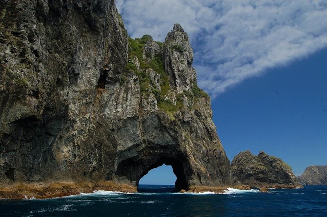 Private Tour: Bay of Islands Day Trip from Auckland - A big northern day from Auckland