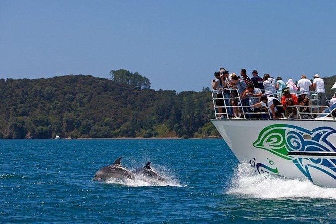 Private Tour: Bay of Islands Day Trip from Auckland - Whangarei Falls in a 30-minute stop