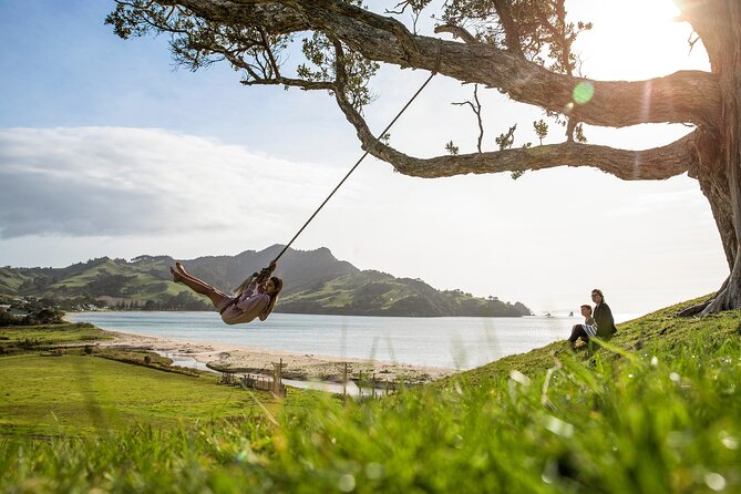 Private Tour - Coromandel Beach, Caves & Forest - Why this private Coromandel day works