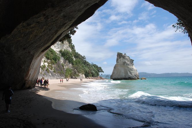 Private Tour - Coromandel Beach, Caves & Forest - Hot Water Beach and your sand-built spa