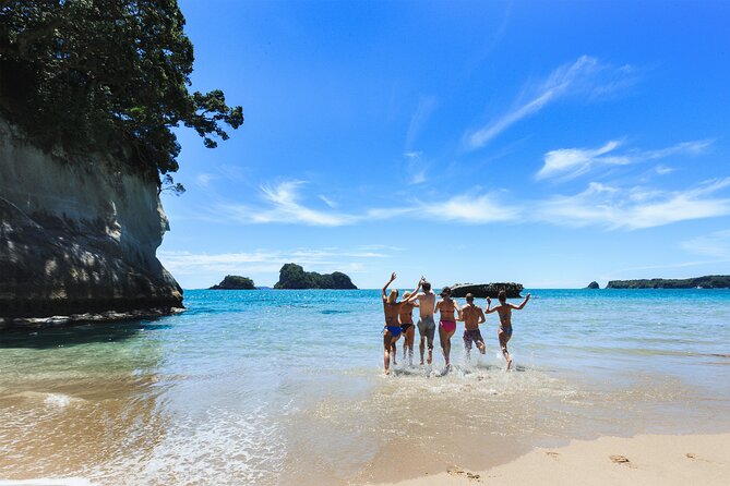 Private Tour - Coromandel Beach, Caves & Forest - Driving Creek Railway through the forest
