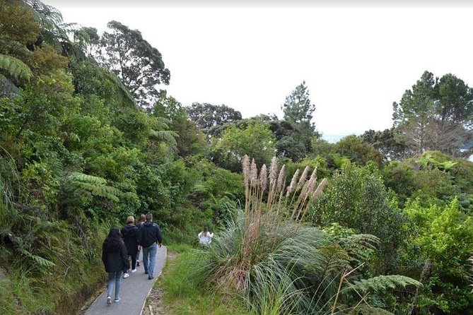Private Tour - Coromandel Beach, Caves & Forest - What the guide adds to the day