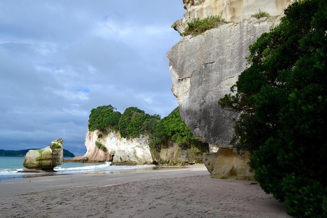 Private Tour - Coromandel Beach, Caves & Forest - Who should book this experience?