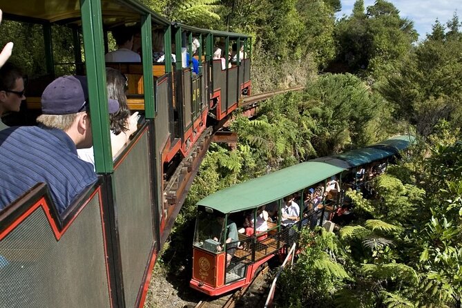 Private Tour - Coromandel Beach, Caves & Forest - Auckland pickup and the long road east