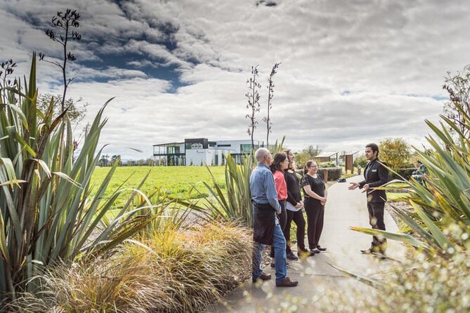 Private tour from Auckland - Waitomo Glowworm Caves, Zealong Tea & Kiwi Bird - Why this Waikato day works so well
