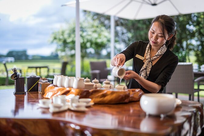 Private tour from Auckland - Waitomo Glowworm Caves, Zealong Tea & Kiwi Bird - Who should book this Auckland day trip?