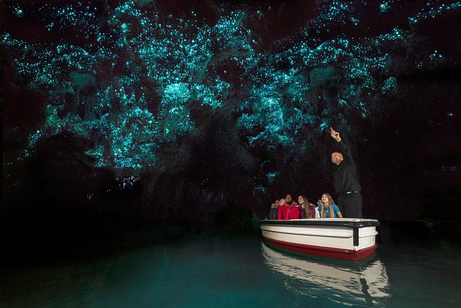 Private tour from Auckland - Waitomo Glowworm Caves, Zealong Tea & Kiwi Bird - Should you book it?