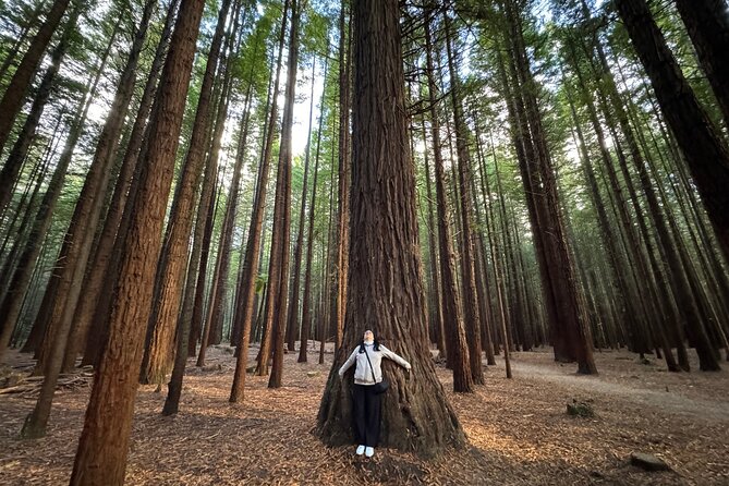 Private Tour: Hobbiton Movie Set, Rotorua Mud Pool & Treewalk - A long North Island day built around contrast