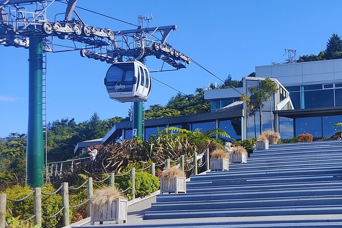 Private Tour: Hobbiton Movie Set, Rotorua Mud Pool & Treewalk - Who will get the most from this tour
