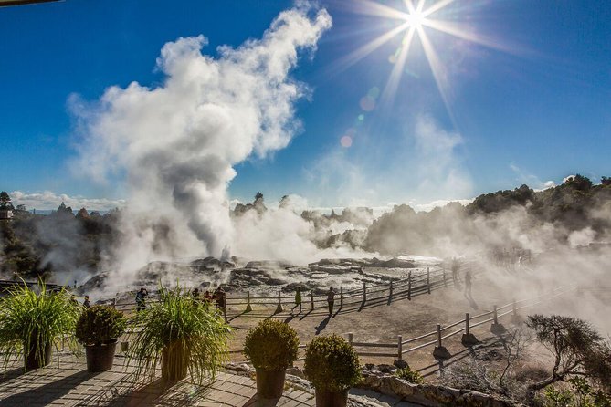Private Tour - Hobbiton Movie Set & Te Puia (Rotorua) - Who should book this tour?