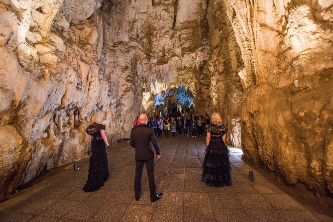 Private Tour: Hobbiton & Waitomo Glowworm Cave Experience - Timing, comfort, and fitness