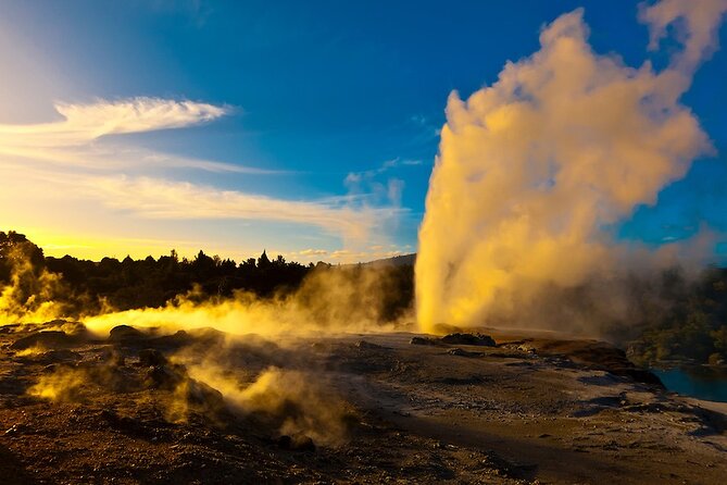 Private Tour - Rotorua Adventures Day Trip From Auckland - Smart questions to ask before you pay