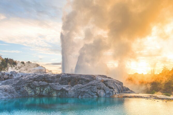Private Tour to Rotorua’s Natural wonders and Māori Arts & craft. - A closer look at New Zealand’s kiwi