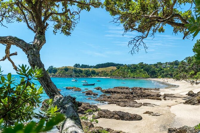 Private Tour - Waiheke Island Luxury Experience - What the $617.47 price really buys you