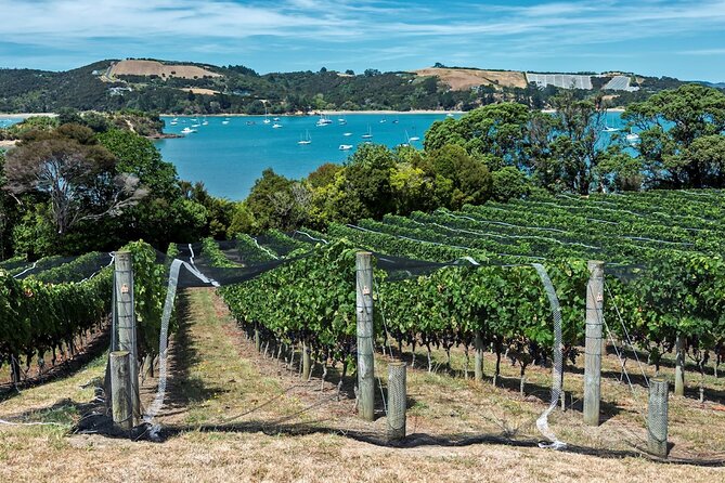 Private Tour - Waiheke Island Luxury Experience - Who will enjoy this private Waiheke day