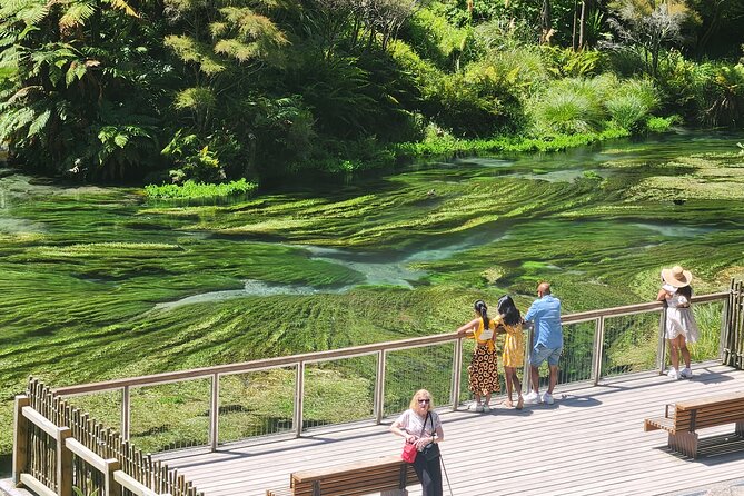Private Tour WaiOtapu & Huka Falls & Blue springs from Auckland - Why this private Auckland day trip works