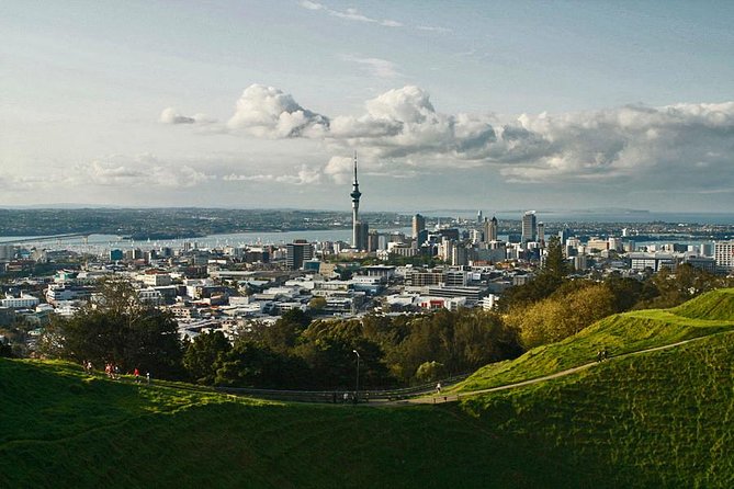 Private Tour: Waitomo Caves Day Trip from Auckland - The long road to Waitomo
