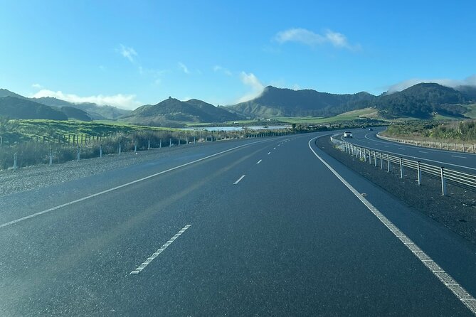 Private Transfer From Auckland Airport To Hamilton - Meeting your driver inside Auckland Airport