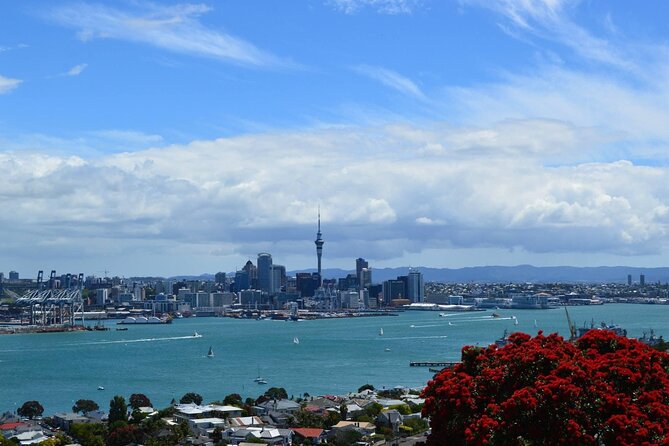 Private Transfer From Auckland Airport To Rotorua - Private transport is most valuable for a full group