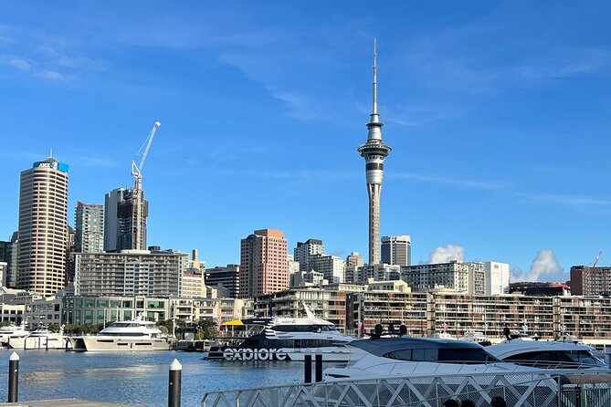Private Transfer From Auckland Airport To Rotorua - What the service does well