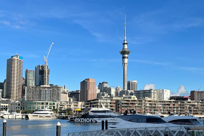 Private Transfer From Auckland City To Auckland Airport - Leaving Auckland without the last-minute scramble